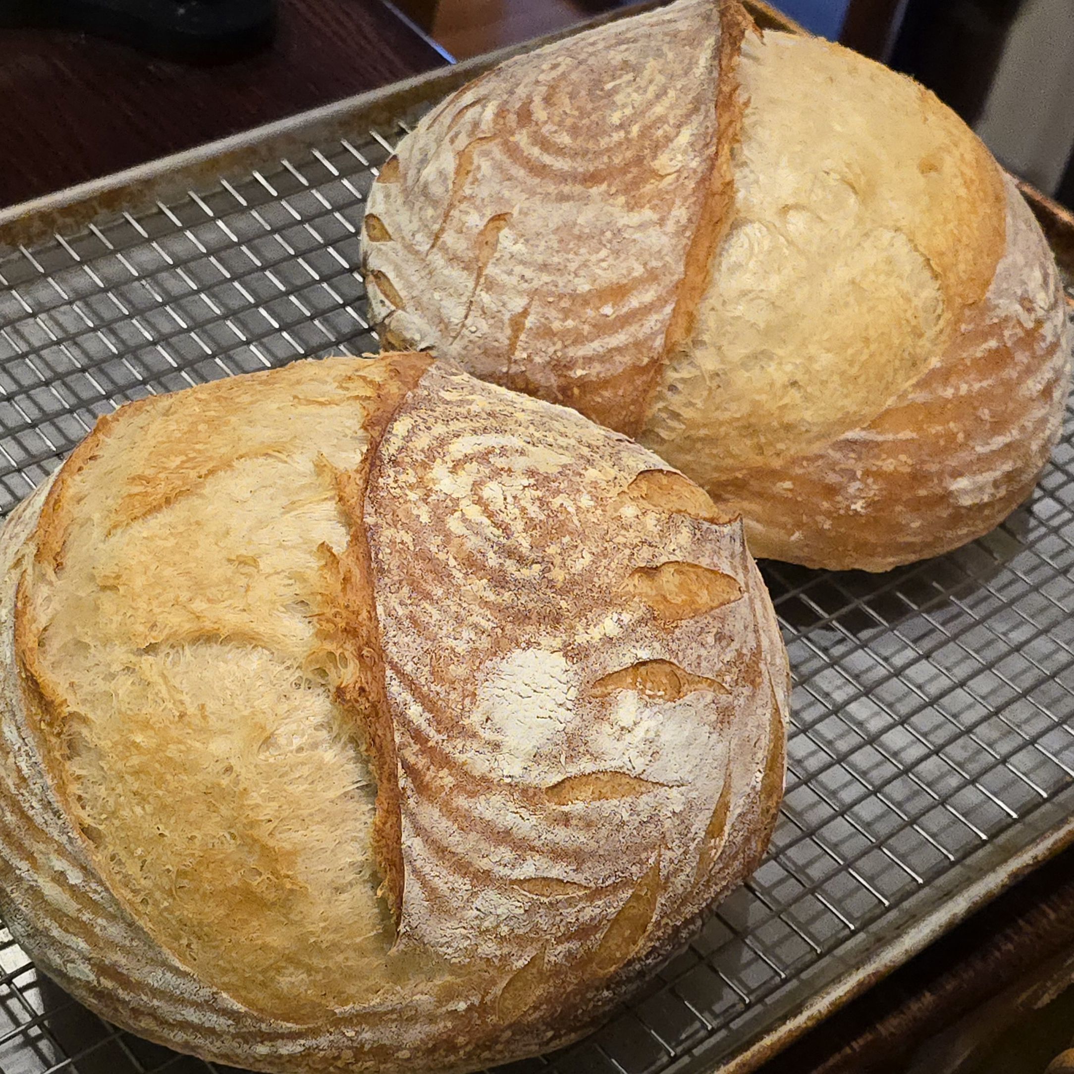 Two sourdough boules